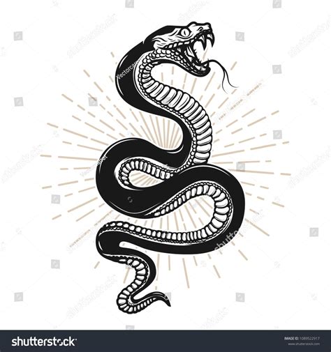 Snake Illustration On White Background Design Element For Poster T