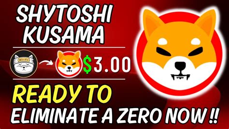 SHIBA INU COIN ANNOUNCES NEW CEO SHYTOSHI SACKED SHIBA INU COIN