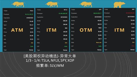 美股期权异动精选 异常大单 1 3 1 4 TSLA NFLX SPY XOP 频繁单 SLV IWM YouTube