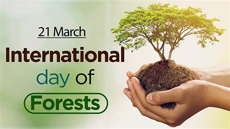 International Day Of Forests 2022 Messages India News India News