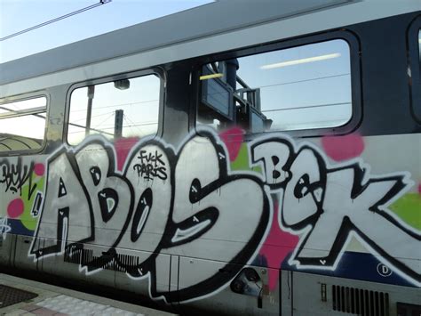 FUCK PARIS Art On Train