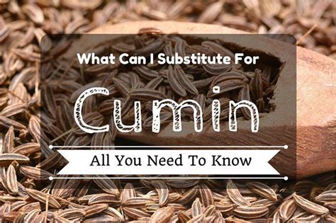 The Uses Of Cumin In Cooking – Healing Plant Foods