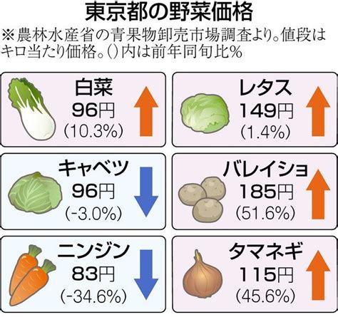 野菜価格の高騰どうして？＜教えてq＆a＞：東京新聞デジタル