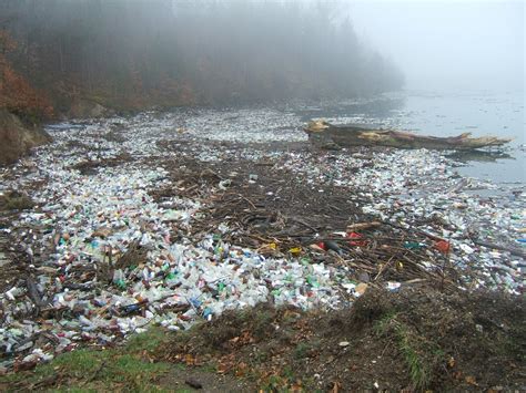 Gratis billeder hav tåge plast trist geologi spild affald