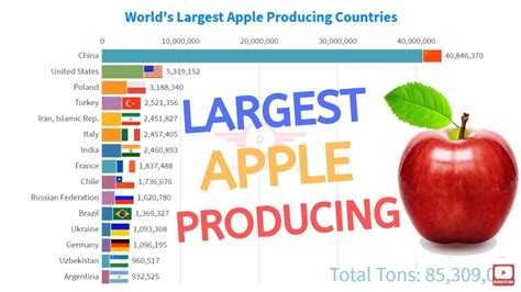 Worlds 15 Largest Apple Producing Countries 1961 2017