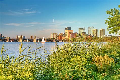 Charles River Esplanade Park, Boston Ma Digital Art by Laura Zeid - Pixels