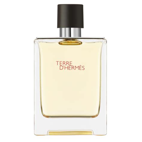 Hermes Terre Dhermes Eau De Toilette Ami