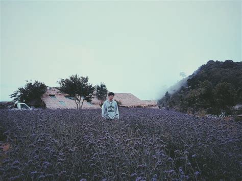 Premium Photo Man Standing Amidst Purple Flowers Growing On Field