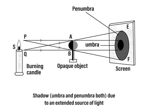 Extended Sources of Light Examples in Daily Life – StudiousGuy