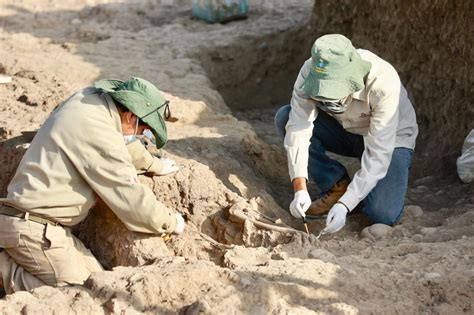 Parque de las Leyendas hallan nuevos restos arqueológicos de Cultura