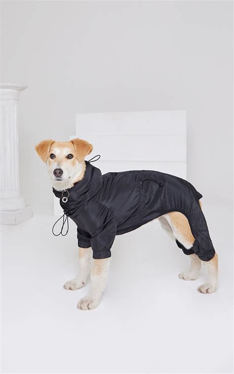 Black Lightweight Dog Rain Jacket | Accessories | PrettyLittleThing CA