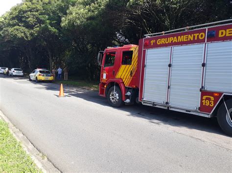 Homem vai urinar em região de matagal e faz achado macabro em Curitiba