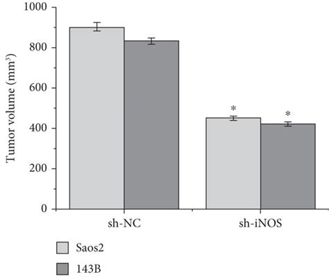 Inos Promotes Os Tumor Growth A Tumorigenesis In Nude Mice