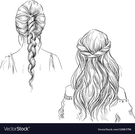 Braids Royalty Free Vector Image Vectorstock