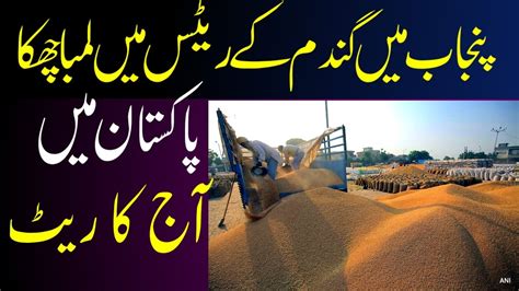 Wheat Price In Pakistan Gundam Ka Rate Today Punjab Pakistan