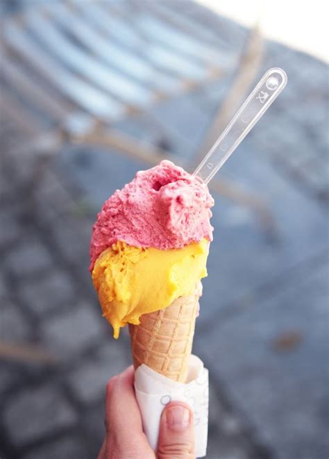 Free Images Flower Food Ice Cream Dessert Ice Cream Cone