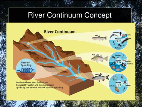 PPT Chapter 3 Notes Communities Biomes And Ecosystems PowerPoint