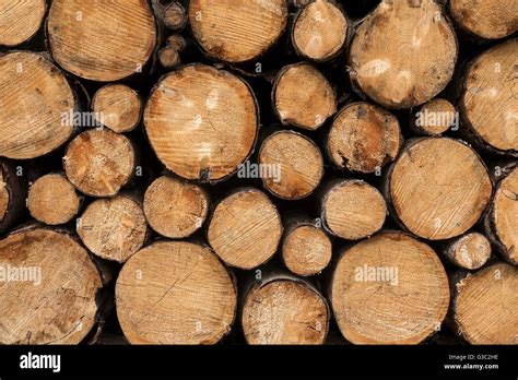 Stacked Tree Trunks Stock Photo Alamy