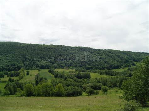 Green Hills with Forest Summer 2019 Stock Photo - Image of hills ...