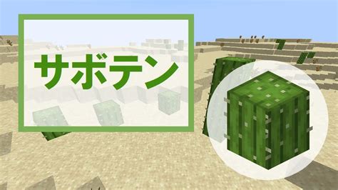 【マイクラ】サボテンの特徴・入手方法・使い道を紹介 Mineblog