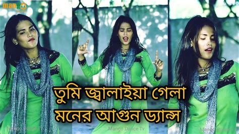 তম জবলইয গল মনর আগন Tumi Jalaiya Gela Moner Agun Bangla