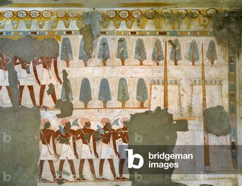 Image Of Egypt Thebes Luxor Sheikh Abd Al Qurna Tomb Of Second Priest