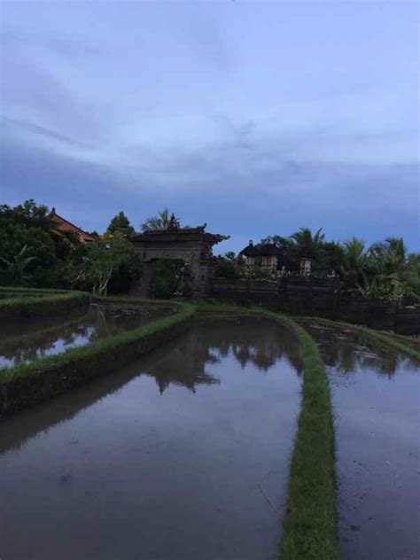 Dijual Rumah Style Bali Dikelilingi Sawah Dan View Gunung Lokasi Tbn