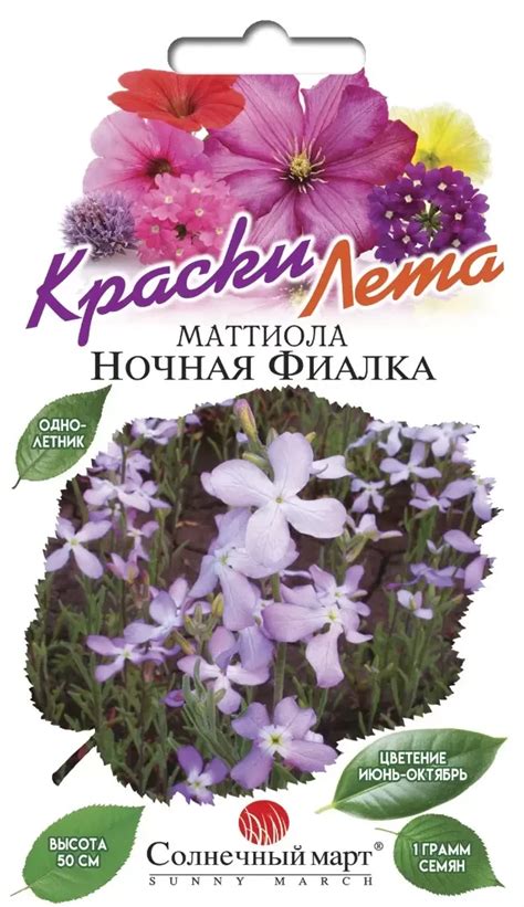 Маттіола Нічна фіалка., ціна 4.10 грн — Prom.ua (ID#1619601559)