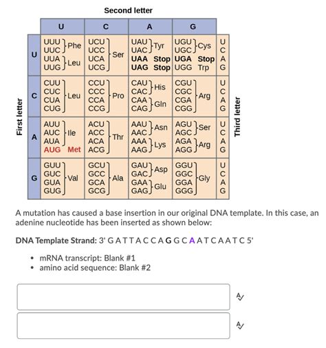 Solved Second Letter U С A G Uuu}phe }tyr Ugc}cys Uuc U Ucu
