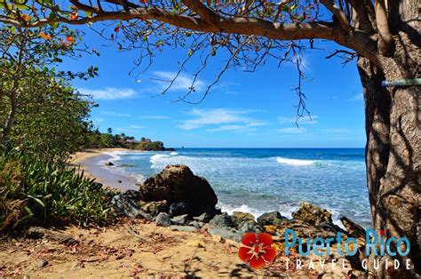 Domes Beach Playa Domes Rincon Puerto Rico 2024 Beach Guide