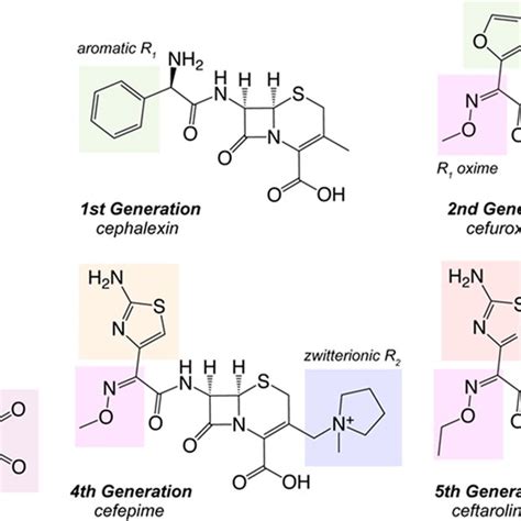 Pdf Molecular Features Of Cephalosporins Important For Activity Against Antimicrobial