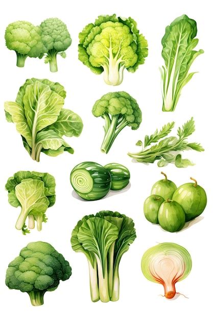 Premium Photo Set Of Different Fresh Vegetables On White Background