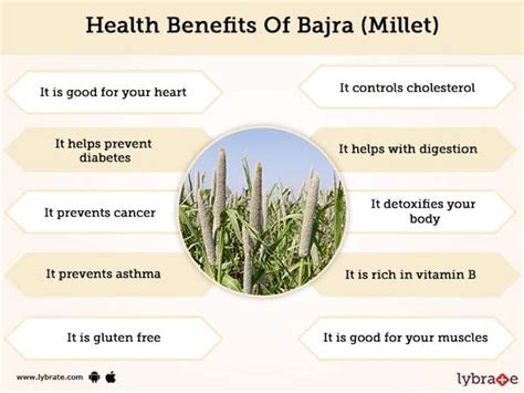 Jowar Bajra Nutrition Facts | Besto Blog