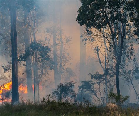 Bushfire Map Spotlight Grampians Fire Victoria Australia