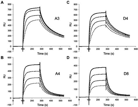 Spr Sensorgrams Obtained For The Purified Fab Fragments Bound To Ha331