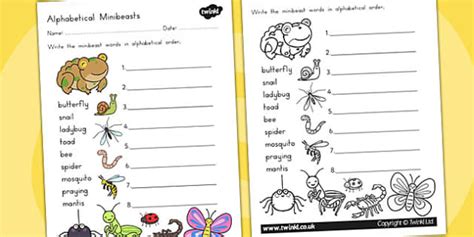 Minibeasts Cute Alphabet Ordering Worksheet Teacher Made