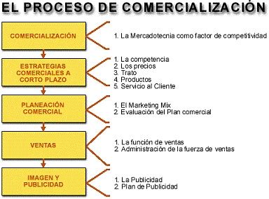 Ejemplos Prácticos de Estrategias de Comercialización para Tu Negocio