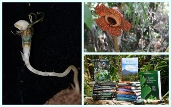 Bernama Frim Continues National Flora Biodiversity Documentation Efforts