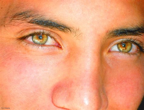 Ojos avellana.