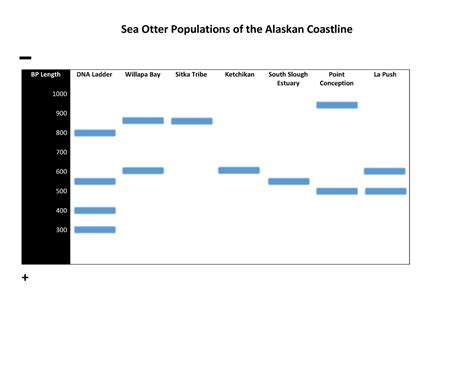 Homeostasis Sea Otter Populations Dna Fingerprint Sorting Activity