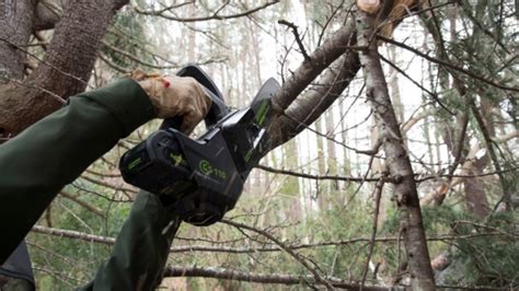 Купить Пила цепная одноручная аккумуляторная GreenWorks GD40TCS ...