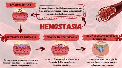 Hemostasia Prim Ria E Secund Ria