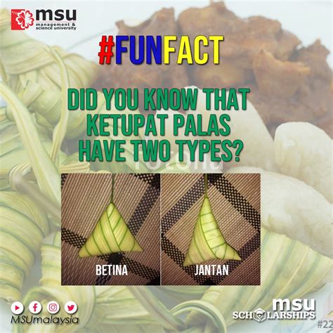 Cara Balut Ketupat Palas Jantan Resepi Ketupat Palas Mudah Dan Senang