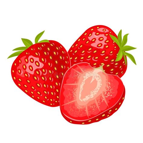 Whole Strawberry Engraving Vintage Vector Black Illustration Stock