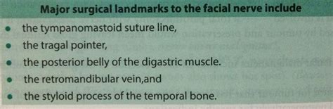 Surgical Landmark For Facial Nerve Parotid Sx Facial Nerve Nerve