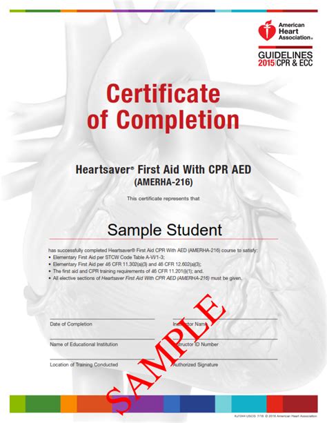 American Heart Association First Aid Cpr Aed Certificate Kui Adventures