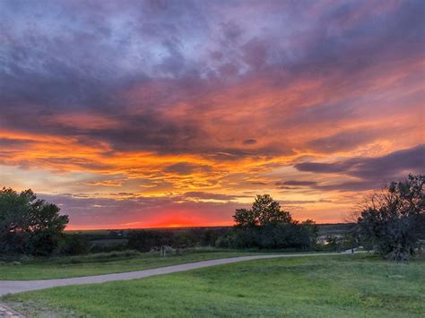 grass and sunset - Outlook & District Regional Park