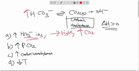 SOLVED The Enzyme Carbonic Anhydrase Catalyzes The Hydration Of Carbon