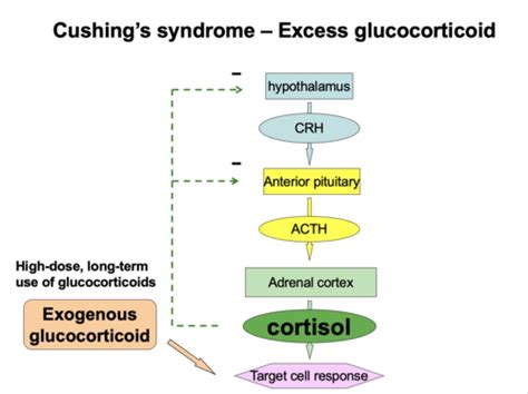 Week 8 Adrenal Disorders Cushings Syndrome Flashcards Quizlet