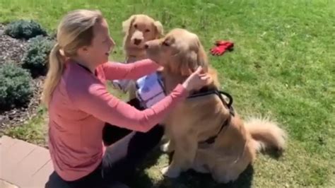 Buddy Y Barley Los Perros Que Alegran A La Gente Con Su Peculiar Trabajo Infobae